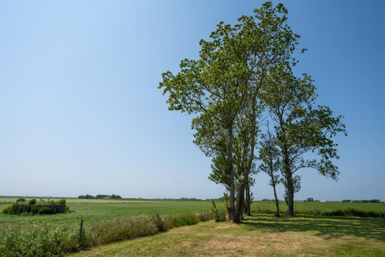 Johanneshoeve - De Mooiste Plek Op Texel Den Hoorn  Ngoại thất bức ảnh