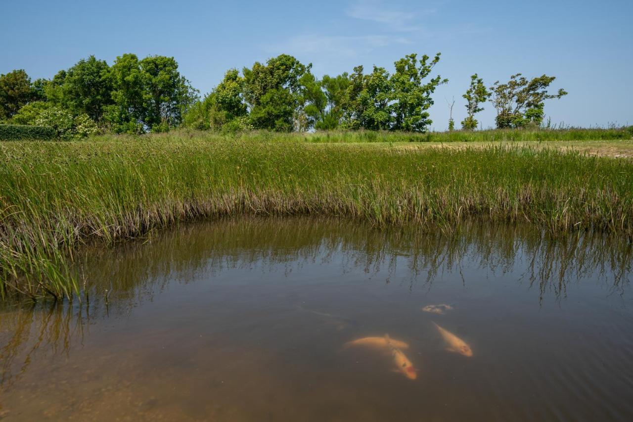 Johanneshoeve - De Mooiste Plek Op Texel Den Hoorn  Ngoại thất bức ảnh